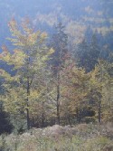 Krkonoše - Podzim na bažinách